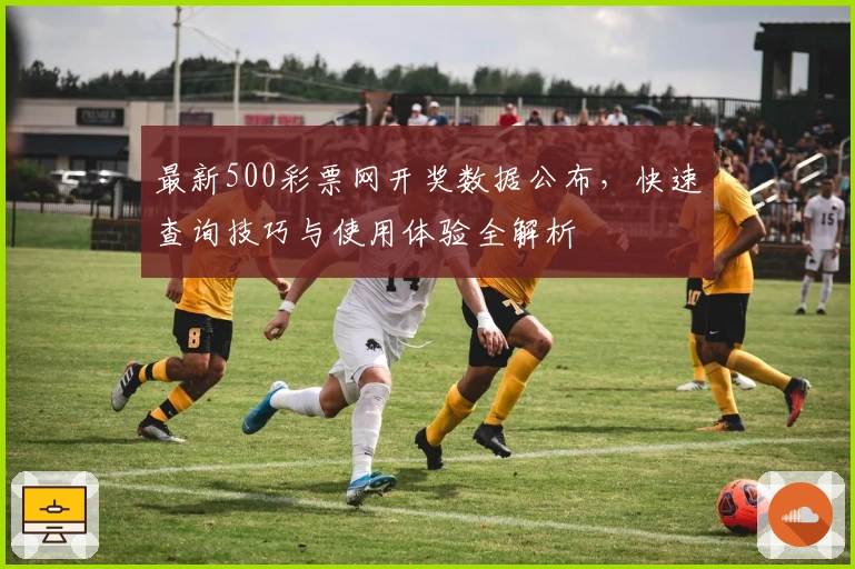 最新500彩票网开奖数据公布，快速查询技巧与使用体验全解析