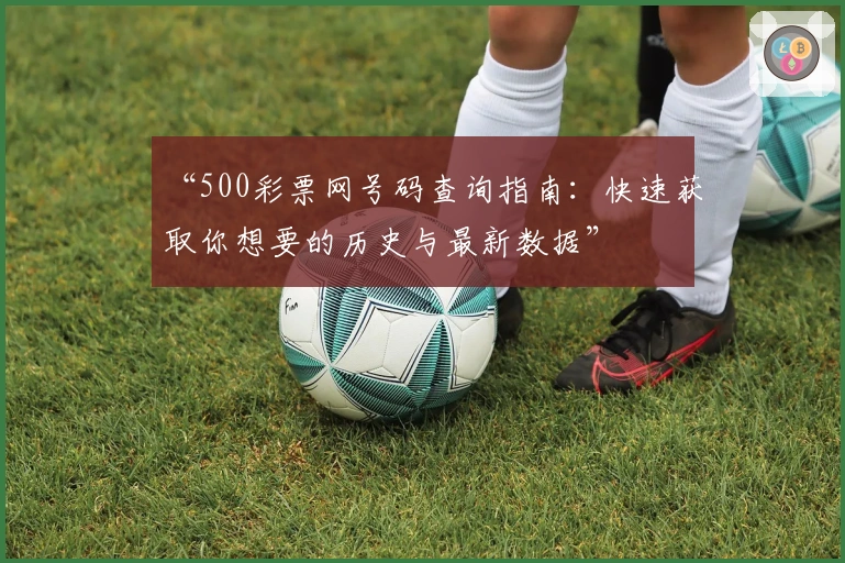 “500彩票网号码查询指南：快速获取你想要的历史与最新数据”