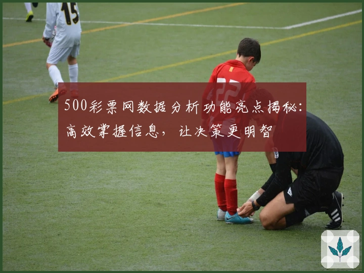 500彩票网数据分析功能亮点揭秘：高效掌握信息，让决策更明智