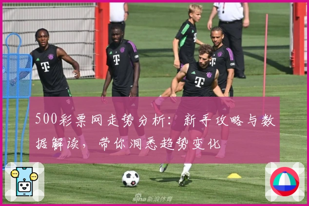 500彩票网走势分析：新手攻略与数据解读，带你洞悉趋势变化