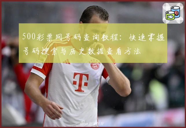 500彩票网号码查询教程：快速掌握号码搜索与历史数据查看方法